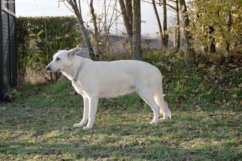 Thaya L'aige de la tournelle