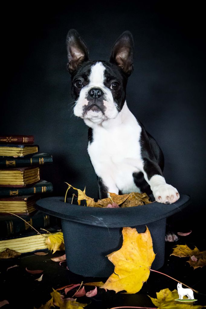 les derniers bébés 2025 sont en approche...